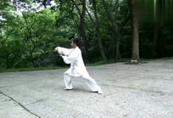 太极拳教学视频