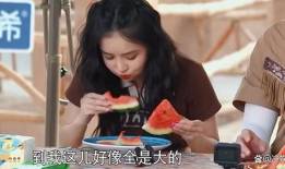 陆柯燃吃瓜爆料,吃瓜爆料背后的真相